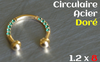 Circulaire Acier dore 1.2 x 8