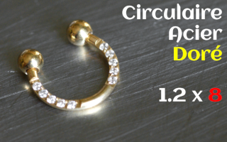 Circulaire Acier dore 1.2 x 8