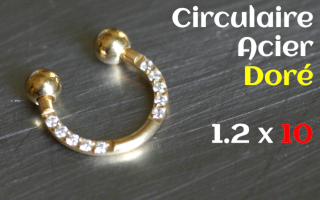 Circulaire Acier dore 1.2 x 10