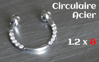 Circulaire Acier 1.2 x 8