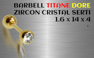 Barbell 1.6 x 14 x 4 - Titane Dore - zircon serti