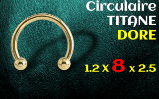 Circulaire 1.2 x 8 x 2.5 Titane Dore