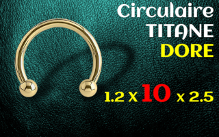 Circulaire 1.2 x 10 x 2.5 Titane Dore