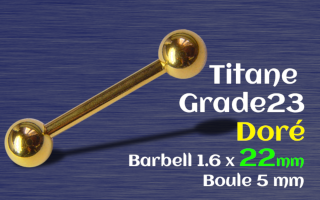 Barbell 1.6 x 22 x 5 Titane Dore