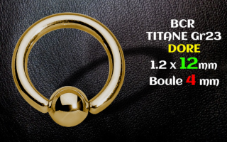 BCR titane Dore 1.2 x 12 x 4