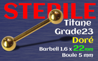 Barbell 1.6 x 22 x 5 Titane Dore STERILE