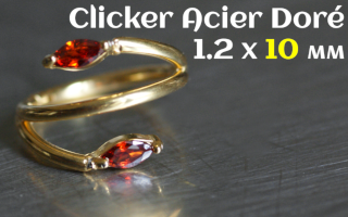 Clicker Acier 1.2 x 10 dore - zircon sertis