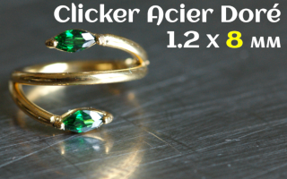Clicker Acier 1.2 x 8 dore - zircon sertis