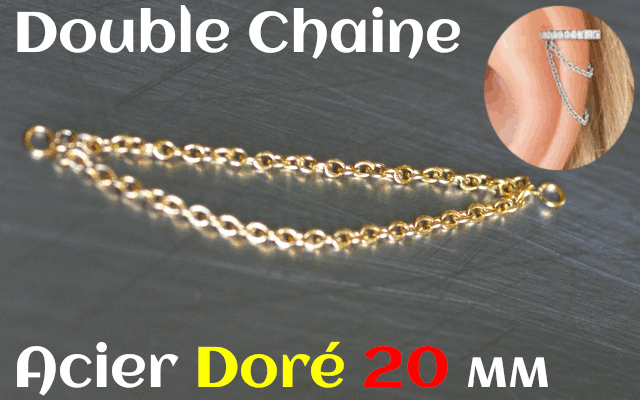 Double chainette Acier Dore 20 mm