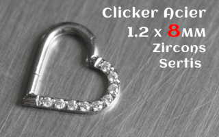Clicker Acier 1.2 x 8 - zircon sertis