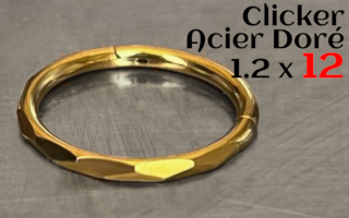 Clicker Acier dore 1.2x12 mm