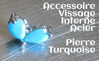 Accessoire vissage interne Acier - design turquoise