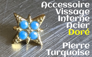 Accessoire vissage interne Acier Dore- design turquoise