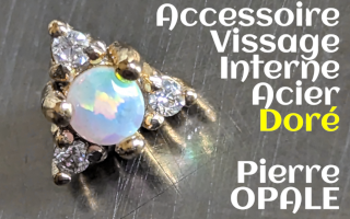 Accessoire Acier Dore Opale