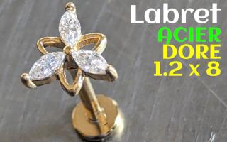 Labret Acier Dore 1.2 x 8