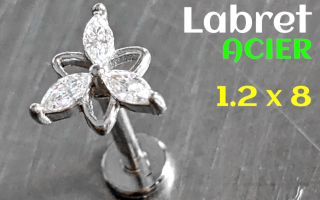 Labret Acier 1.2 x 8