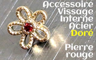 Accessoire Acier Dore