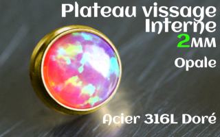 Plateau vissage interne - diametre 2 mm - Acier Dore - opale