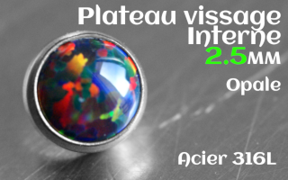 Plateau vissage interne - diametre 2.5 mm - Acier - opale