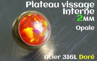 Plateau vissage interne - diametre 2 mm - Acier Dore - opale