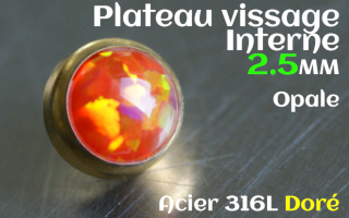 Plateau vissage interne - diametre 2.5 mm - Acier Dore - opale