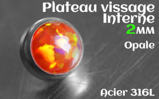 Plateau vissage interne - diametre 2 mm - Acier - opale