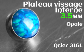 Plateau vissage interne - diametre 3.5 mm - Acier - opale