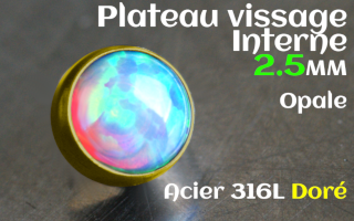 Plateau vissage interne - diametre 2.5 mm - Acier Dore - opale
