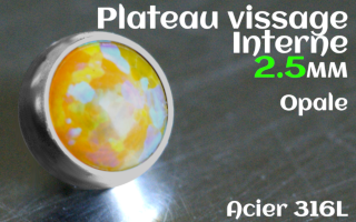 Plateau vissage interne - diametre 2.5 mm - Acier - opale