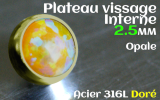 Plateau vissage interne - diametre 2.5 mm - Acier Dore - opale