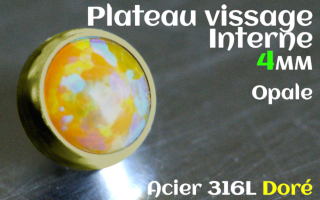 Plateau vissage interne - diametre 4 mm - Acier Dore - opale