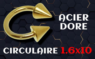 Circulaire Acier 1.6 x 10 DORE