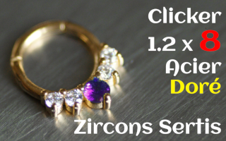 Clicker 1.2x 8 Acier Dore - zircons sertis