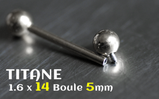 barbell titane 1.6x14 - boules 5 mm- vissage interne