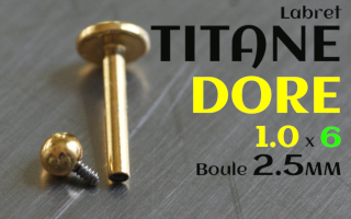 Labret Titane Dore 1.0 x 6 - boule 2.5 mm