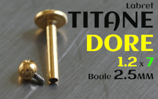 Labret Titane Dore 1.2 x 7 - boule 2.5 mm