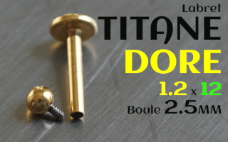 Labret Titane Dore 1.2 x 12 - boule 2.5 mm