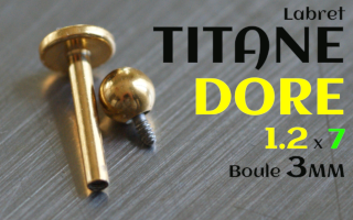 Labret Titane Dore 1.2 x 7 - boule 3 mm