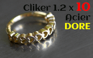 Clicker Acier Dore 1.2 x 10