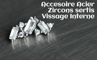 Accessoire Acier Zircons sertis