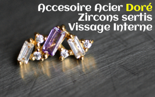 Accessoire Acier Dore Zircons sertis