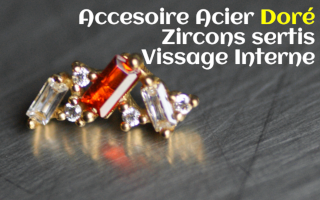 Accessoire Acier Dore Zircons sertis