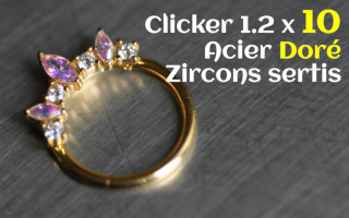 Clicker Acier Dore 1.2 x 10 zircons sertis Irise