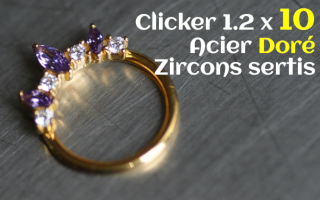 Clicker Acier Dore 1.2 x 10 zircons sertis