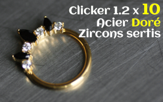Clicker Acier Dore 1.2 x 10 zircons sertis
