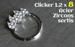 Clicker Acier 1.2 x 8 zircons sertis