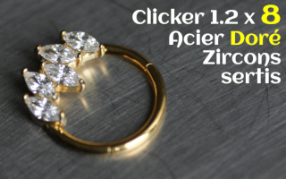 Clicker Acier Dore 1.2 x 8 zircons sertis