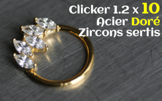 Clicker Acier Dore 1.2 x 10 zircons sertis