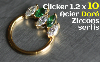 Clicker Acier Dore 1.2 x 10 zircons sertis