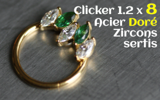 Clicker Acier Dore 1.2 x 8 zircons sertis